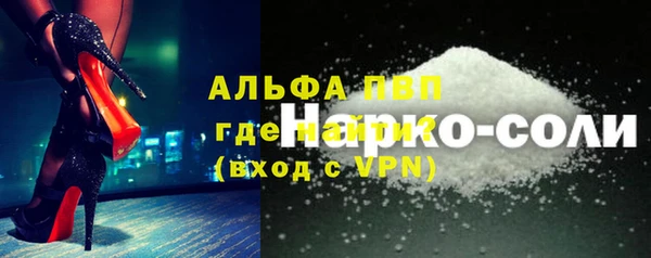 стаф Надым