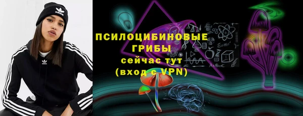 стаф Надым