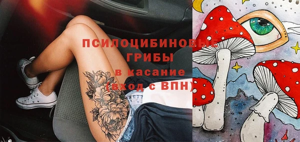 стаф Надым