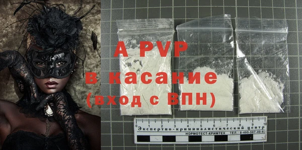 стаф Надым