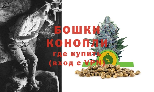 стаф Надым