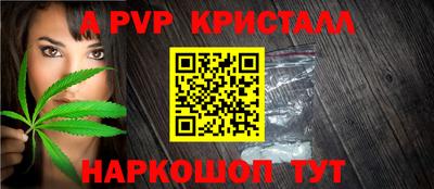 шишки Гатчина